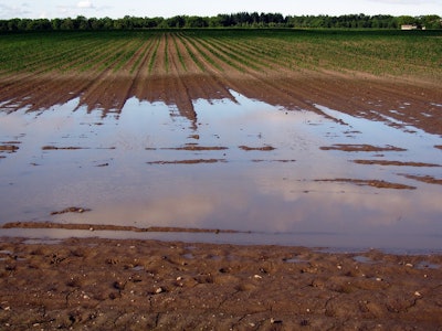 Wet field