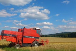 Wheat 171612 1280
