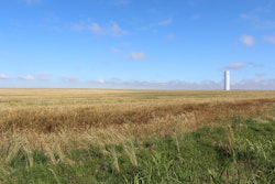 Wheat 2488215 960 720