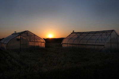Photo by Dan Donnert, Kansas State University Research and Extension