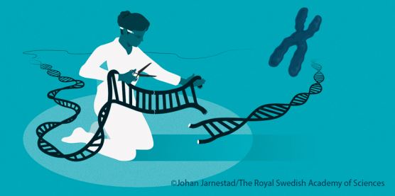 CRISPR genome editing