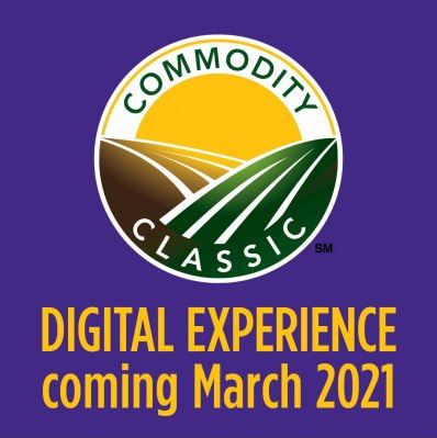 NGA虚拟事件2020LOGO