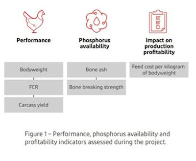Image courtesy of DuPont Animal Nutrition