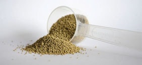 Phosphea Calseagrow
