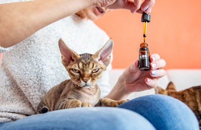 CBD is a swiftly growing segment in the pet space and is only expected to continue its upward trajectory, according to data. | (Valentin Casarsa | iStock.com)