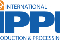 IPPE标志FujFVVV1001426