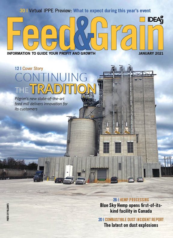 feed和Grain2021年1月