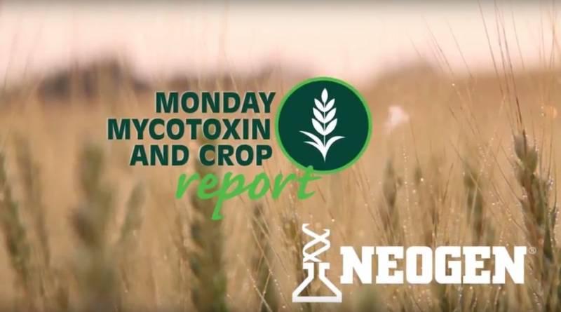 Monday Mycotoxin ub F5r O76 1668 928