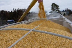 Corn 554521 T Hmo Ce FP 2048 1536