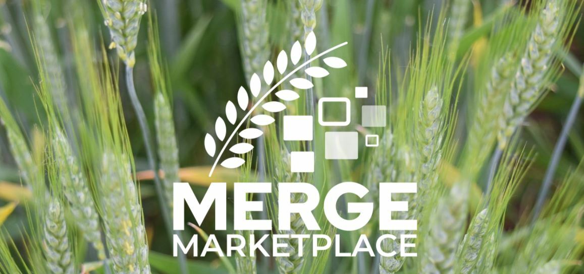 Merge marketplace