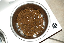 Pet food bowl jan 21