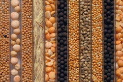 Brock Sponsored Content Feb 2021 grainseeds