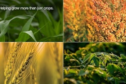 Commodity Scholarship3