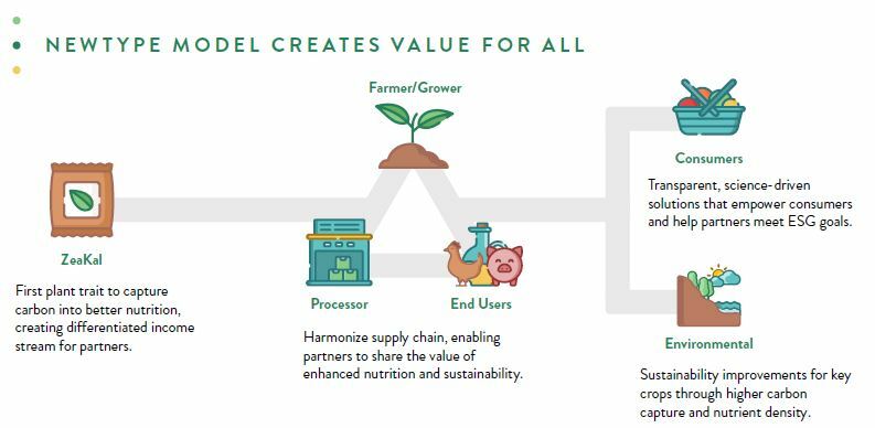 Zea Kal New Type commitment