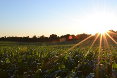 Corn field sun VIA PIXABAY March 2021