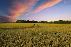 Farm field sunset VIA PIXABAY MARCH 2021