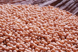 Soy soybeans VIA Pixabay MARCH 2021