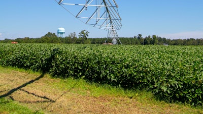 Soybean field VIA PEXELS March 2021 Photo by Mark Stebnicki