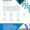 Emerge Pet Cover