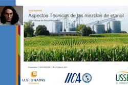 Aida Gonzalez Palomino covers technical aspects of ethanol blends during a virtual biofuels workshop