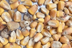 Central Life Sciences SC control insects stored corn 002