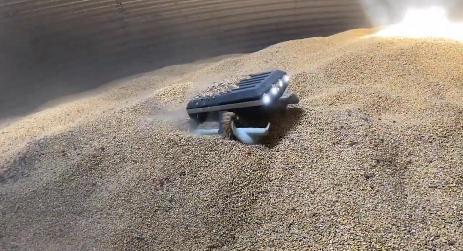Grain Weevil robot