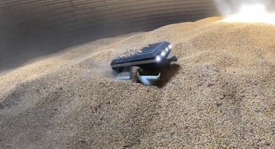 Grain Weevil robot