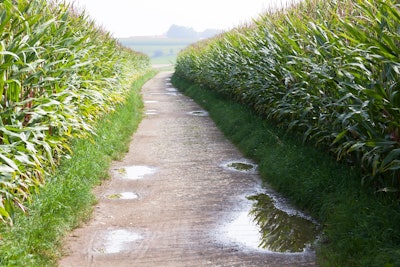 Corn field rain VIA PIXABAY April 2021