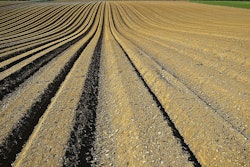 Field planting VIA Pixabay April 2021