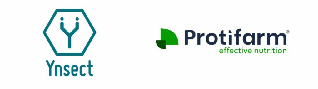 Ynsect protifarm