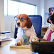 AAFCO’s Mid-Year Meeting had a full docket of topics to cover in various committees. | (monkeybusinessimages | iStock.com)
