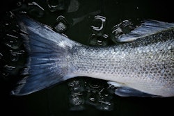 Fish VIA PIXABAY may 2021