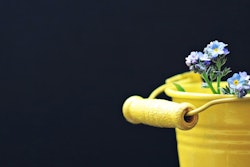 Bucket 2156659 1920