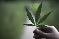 Hemp VIA PIXABAY June 2021 2