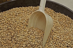 Pinto bean 3728767 1920