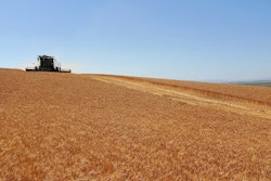 July 2021 Cascade Organic Farms Hard Red Wheat being harvested in Washington State 1