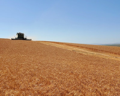 July 2021 Cascade Organic Farms Hard Red Wheat being harvested in Washington State 1