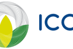 Logo ICCF 300x133