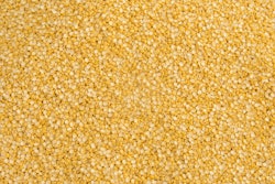 Split peas 6535355 1280