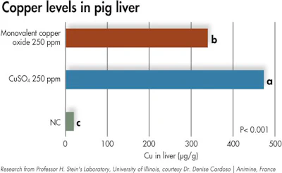 Copper Pig Liver