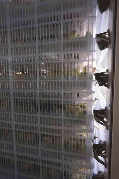 Bell & Evans is one of a handful of hatcheries in North America with access to feed and water in the hatchery. It opened the $40 million operation in 2017. (Austin Alonzo)
