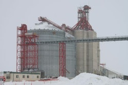 Photo: Elise Schafer