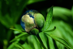 PIXABAY