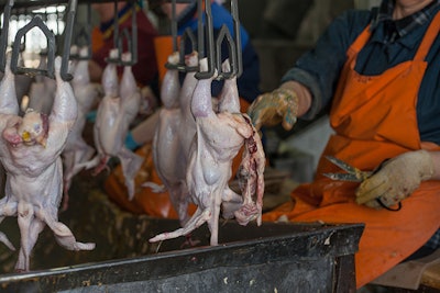 factory for the production of chicken meat. technological process.