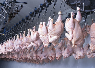 factory for the production of chicken meat. technological process.