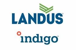 Landus and Indigo 120221 vf