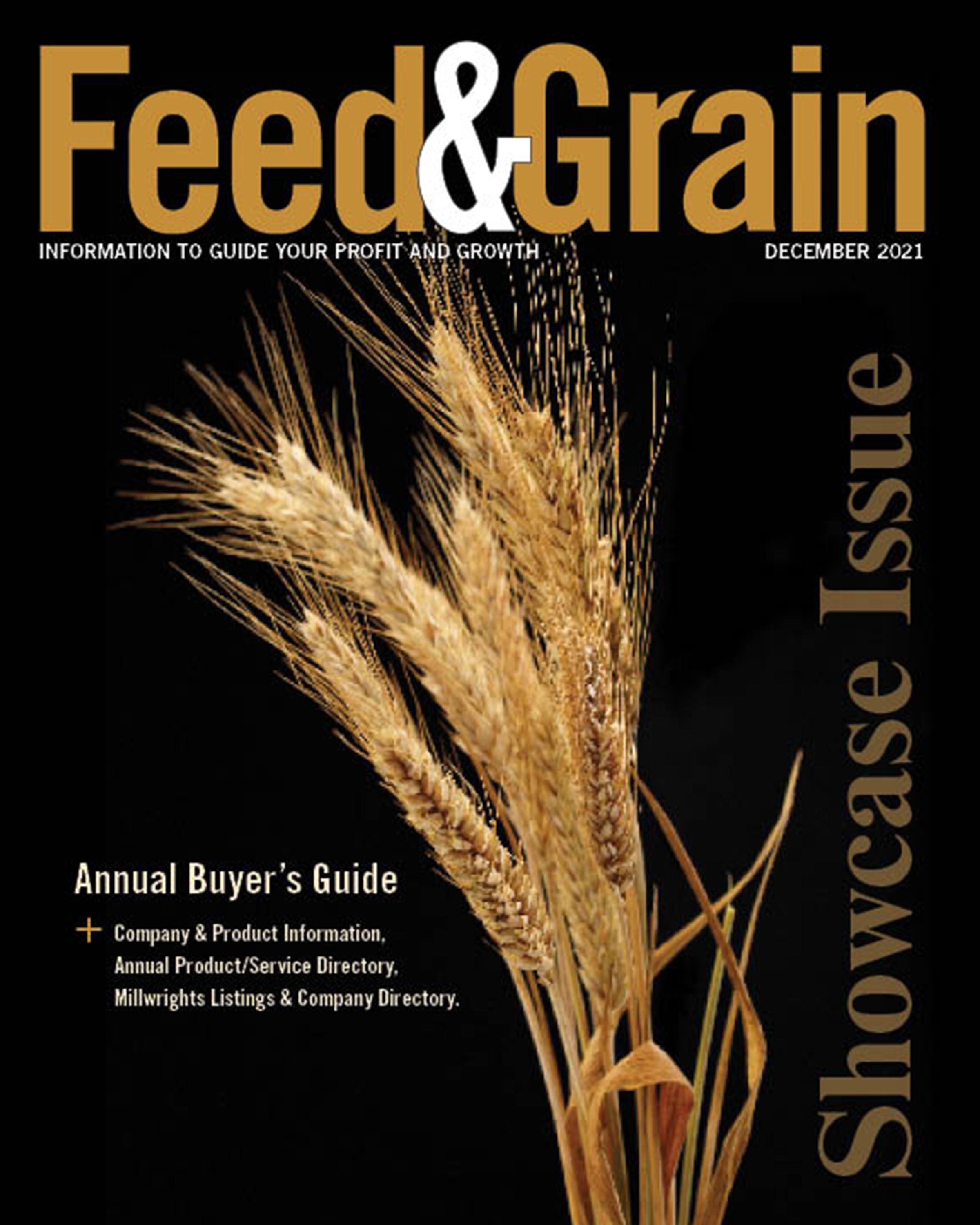 feed和Grain2021年12月