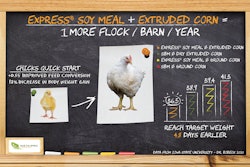 Insta Pro Infographic RESIZED