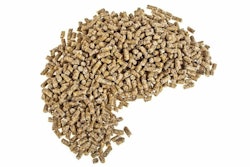 Compound feed pellets 2