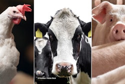 Photo: Danisco Animal Nutrition & Health